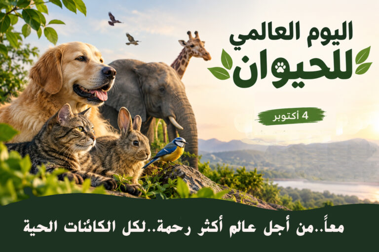 في يوم الحيوان.. أين نحن من الرفق والرحمة؟